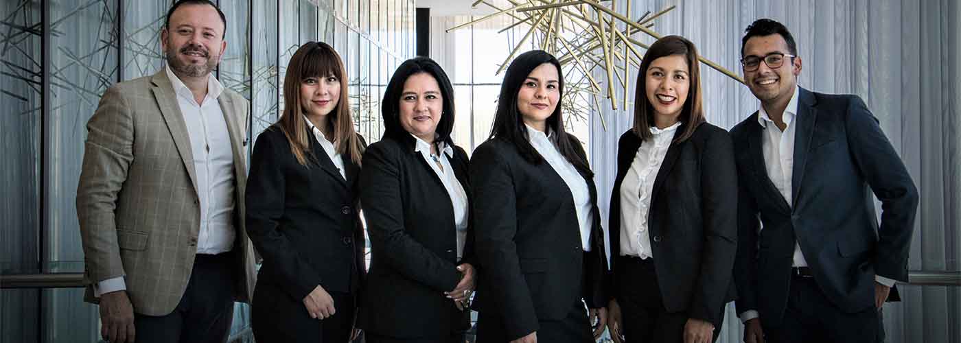 SHELLINGTON LABS Team